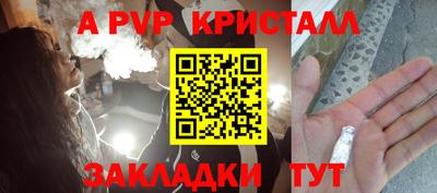 стафф Будённовск