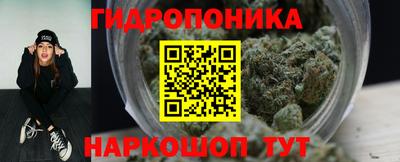 стафф Будённовск