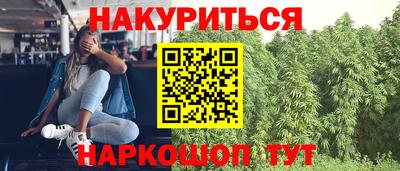 крисы Бузулук