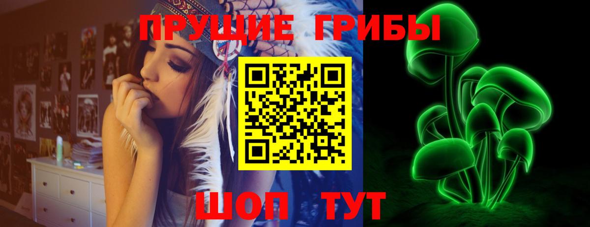 Галлюциногенные грибы Cubensis Унеча